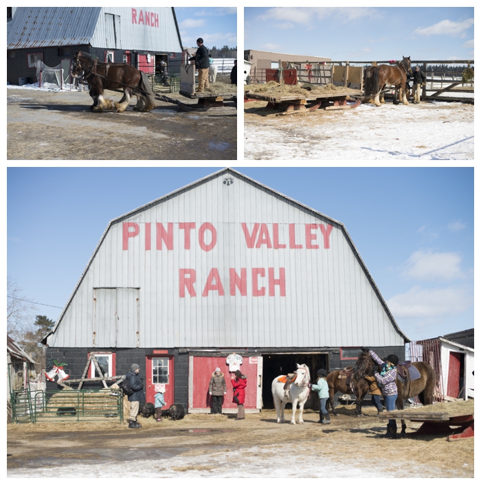 2013 03 17 nicole salter photography pinto valley ranch sleigh ride maple syrup taffy date 0003