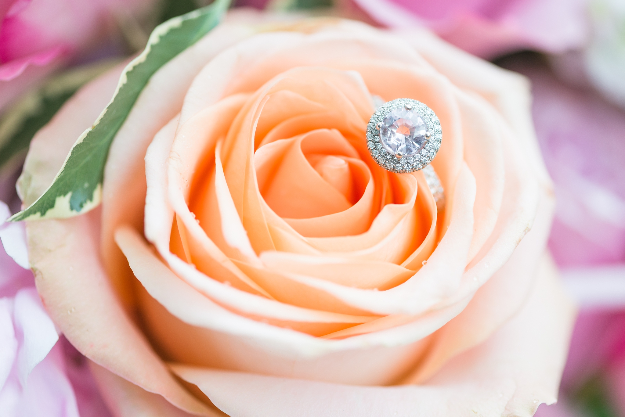 pink blush romantic southern style wedding ottawa