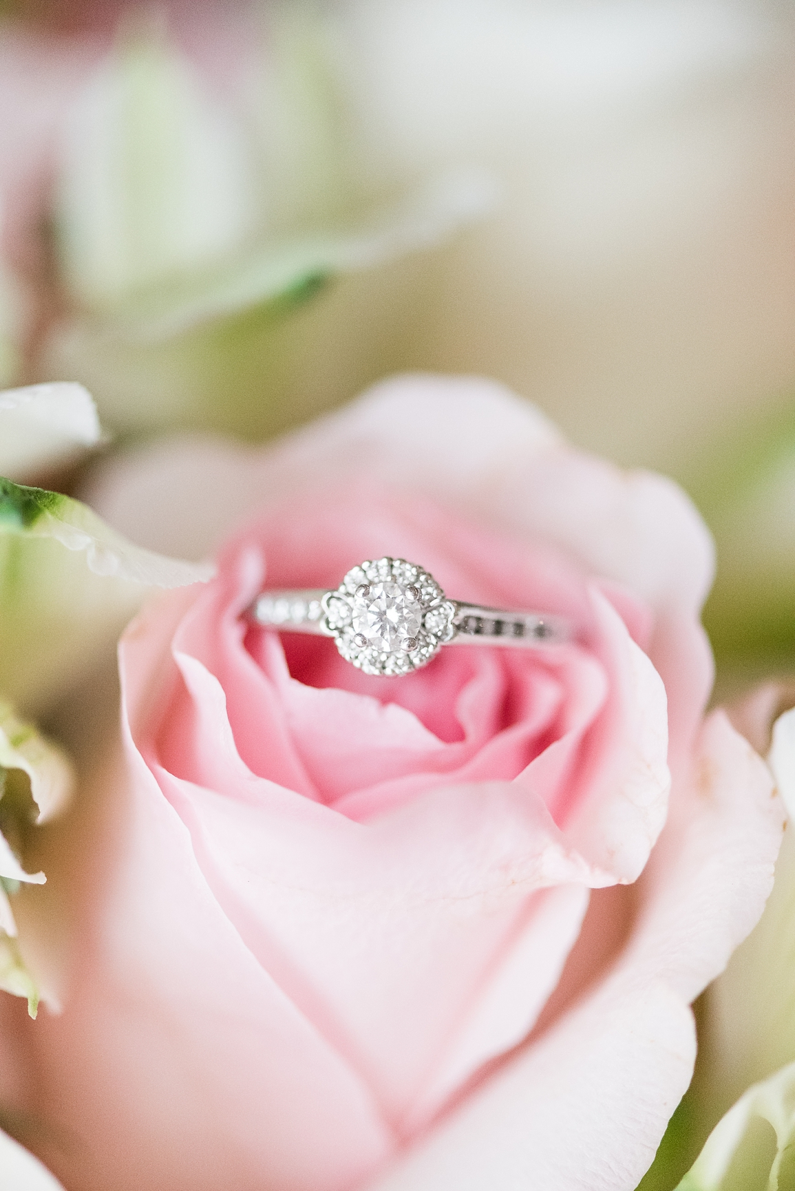 light pink rose bridal boquet