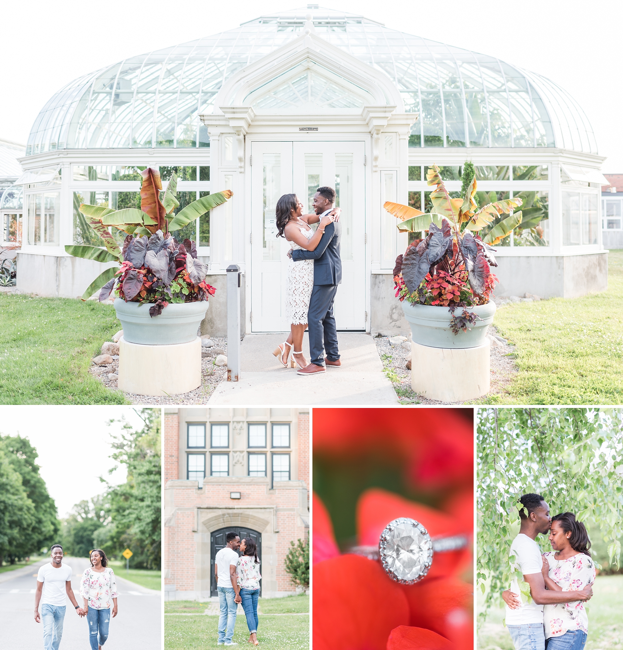 Tropical Greenhouse Engagement